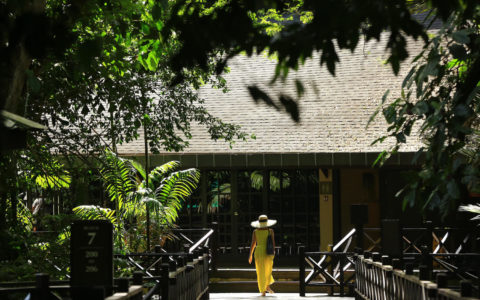 mulu marriot, malaysian retreats, digital detox, borneo, ayus wellness, forest bathing, nature immersion